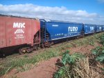 RUMO HTT-352962-2